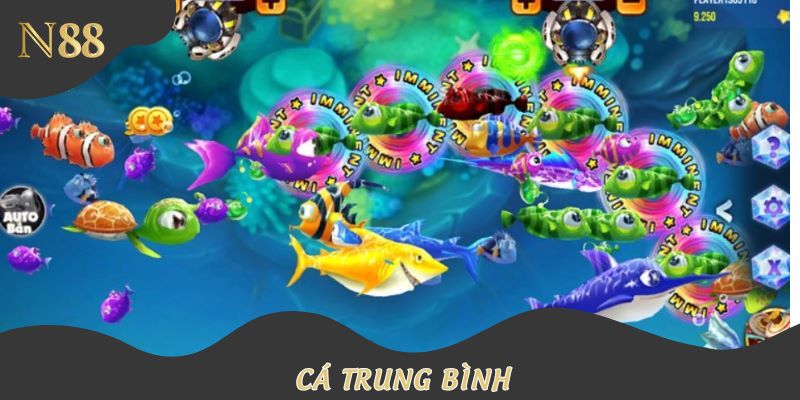 Cá trung bình cực dễ săn