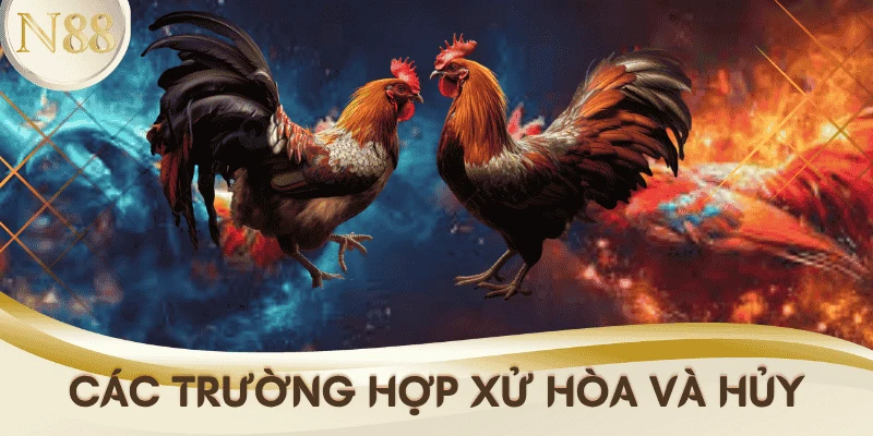 cac-truong-hop-xu-hoa-da-ga-truc-tiep-N88