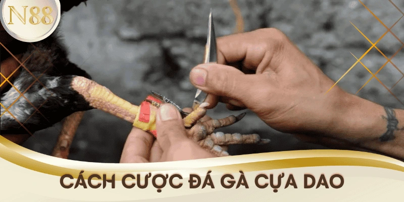 cach-cuoc-da-ga-cua-dao