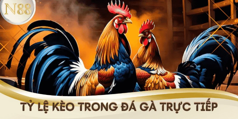 da-ga-truc-tiep-N88-ty-le-keo