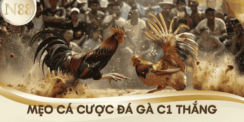 meo-ca-cuoc-da-ga-c1
