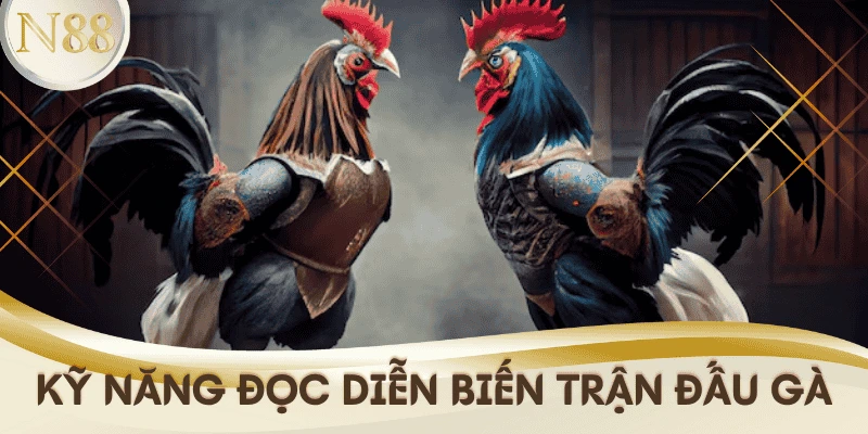 meo-ca-cuoc-da-ga-truc-tiep-doc-dien-bien-tran