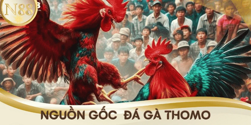 nguon-goc-da-ga-thomo