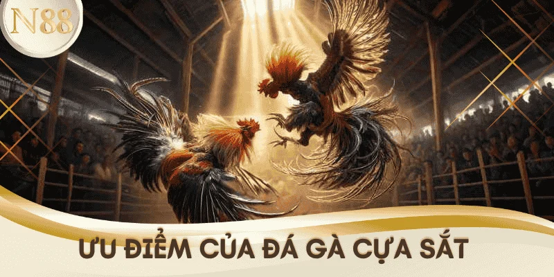 uu-diem-da-ga-cua-sat-N88