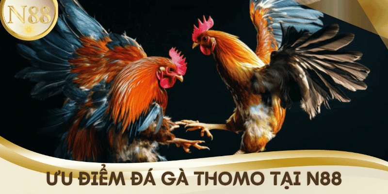uu-diem-da-ga-thomo-n88